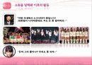 소녀시대 마케팅 분석 12페이지