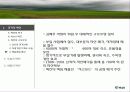 [조직구조론A+] (주)벽산 기업위기와 주직구조 문제점과 개선방안 모색 11페이지