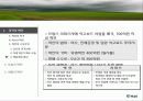 [조직구조론A+] (주)벽산 기업위기와 주직구조 문제점과 개선방안 모색 12페이지