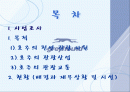 관광교통론)장거리 버스 여행 기획안 2페이지