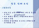 관광교통론)장거리 버스 여행 기획안 29페이지