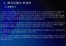 [사회복지]유럽 사회복지모델의 문제점과 해결방안 PPT자료 9페이지