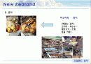 오세아니아주의 개요와 문화 11페이지