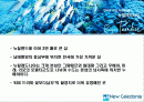 허니문일정표 2페이지