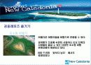 허니문일정표 21페이지