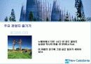 허니문일정표 24페이지