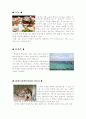 태국 사전학술답사 4페이지