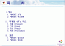 에버랜드 마케팅성공사례 2페이지