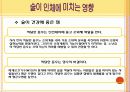 술과 건강 PPT 18페이지