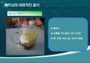 베트남의 음식문화 PPT 17페이지