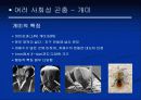 곤충의 사회성에 대한 발표자료 7페이지