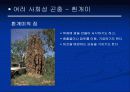 곤충의 사회성에 대한 발표자료 18페이지