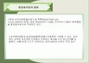 환경호르몬에 관한 발표자료 5페이지