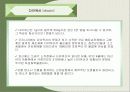 환경호르몬에 관한 발표자료 10페이지