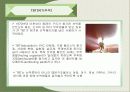 환경호르몬에 관한 발표자료 19페이지
