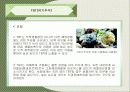환경호르몬에 관한 발표자료 20페이지