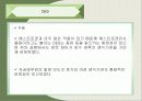 환경호르몬에 관한 발표자료 22페이지