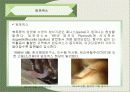 환경호르몬에 관한 발표자료 30페이지