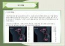환경호르몬에 관한 발표자료 31페이지