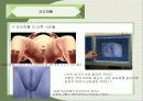 환경호르몬에 관한 발표자료 32페이지