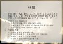 산불이 생태계에 미치는 영향 발표자료 4페이지