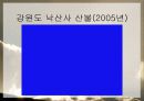 산불이 생태계에 미치는 영향 발표자료 6페이지