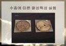 산불이 생태계에 미치는 영향 발표자료 8페이지
