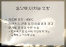 산불이 생태계에 미치는 영향 발표자료 9페이지