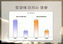 산불이 생태계에 미치는 영향 발표자료 10페이지