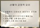 산불이 생태계에 미치는 영향 발표자료 13페이지
