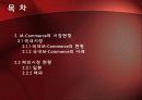 2010년.최신판.모바일 서비스의 한종류 - 모바일 커머스,M커머스,m-commerce의 정밀분석 14페이지