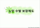 노인수발보험제도 현황(09'5월) 외국과 비교(미국,독일,영국,일본) 문제점 해결방안 파워포인트 PPT 1페이지