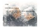 노인주거복지와 노인주거보장정책의 현황, 문제점 및 해결방안 파워포인트 PPT 13페이지