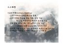 노인주거복지와 노인주거보장정책의 현황, 문제점 및 해결방안 파워포인트 PPT 17페이지
