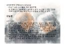 노인주거복지와 노인주거보장정책의 현황, 문제점 및 해결방안 파워포인트 PPT 19페이지