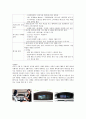 다국적기업의 국제마케팅 전략 보고서 10페이지