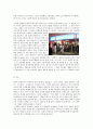 다국적기업의 국제마케팅 전략 보고서 17페이지