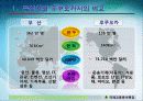 부산시와 후쿠오카시의 교류 4페이지
