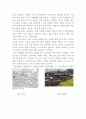 제 10장. 중세의 틀을 벗어나는 도시와 건축 3페이지