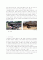제 10장. 중세의 틀을 벗어나는 도시와 건축 6페이지