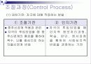 지역사회간호학 Roy 적응이론 12페이지