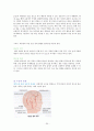 [논문] 뇌종양 환자의 간호 30페이지