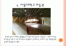 렘 쿨하스 (Rem Koolhaas) 31페이지