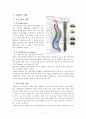 (의료사회복지)척수손상 환자와 가족의 심리사회적 문제와 치료법, 지원활동과 사회복지사의 역할 2페이지