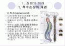 (의료사회복지)척수손상 환자와 가족의 심리사회적 문제와 치료법, 지원활동과 사회복지사의 역할 파워포인트 PPT 3페이지