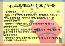 스트레스의 원인과 해결방법 운동처방 7페이지