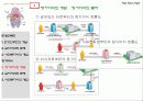 (의료사회사업) 만성신부전환자와 장기이식환자에 대한 사회복지사의 개입 파워포인트 PPT 12페이지