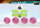  스포츠관광 리조트 시설의 의의, 현황 등 외국과 비교 문제점 및 발전방향 24페이지