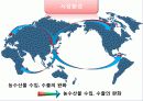 레드망고 프렌차이즈사업 성공마케팅전략(1Page, 1message) 13페이지