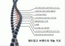 레드망고 프렌차이즈사업 성공마케팅전략(1Page, 1message) 15페이지
